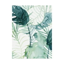 Trademark Fine Art 'Palm Pieces II' Canvas Art by Grace Popp