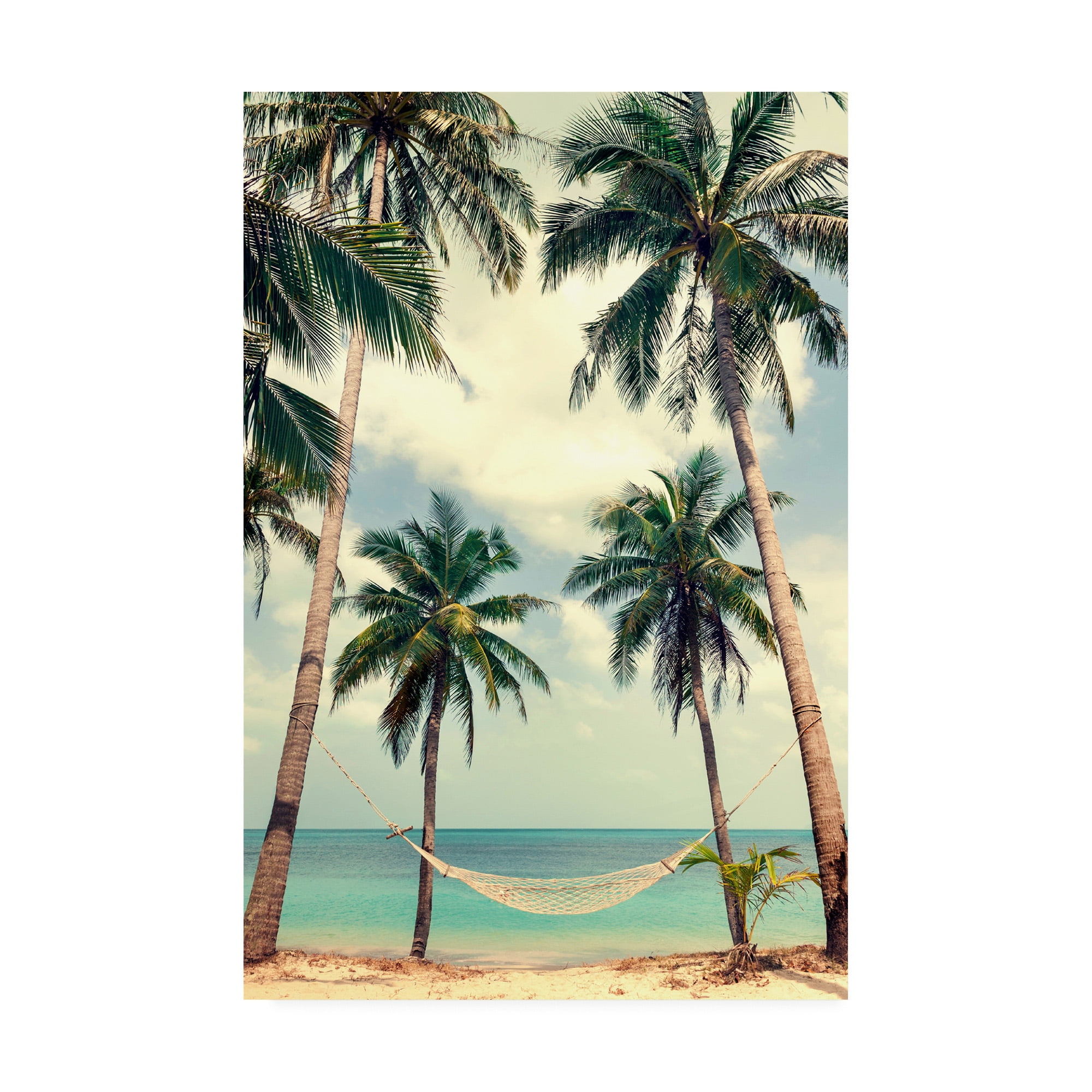 Trademark Fine Art 'Palm Sky 3 Fabrikken' Canvas Art by Design Fabrikken