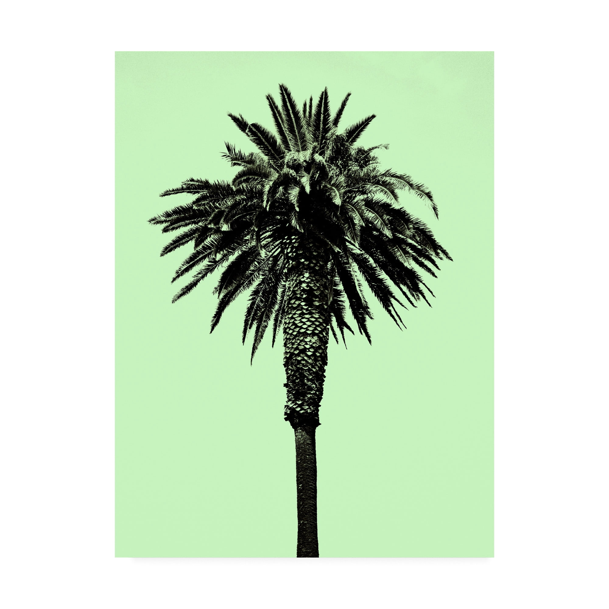 Trademark Fine Art 'Palm Tree 1996 (Green)' Canvas Art by Erik Asl