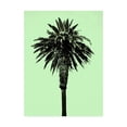 thumbnail image 1 of Trademark Fine Art 'Palm Tree 1996 (Green)' Canvas Art by Erik Asl, 1 of 3