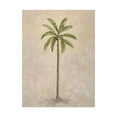 thumbnail image 1 of Trademark Fine Art 'Palm Tree 2' Canvas Art by Debra Lake, 1 of 3