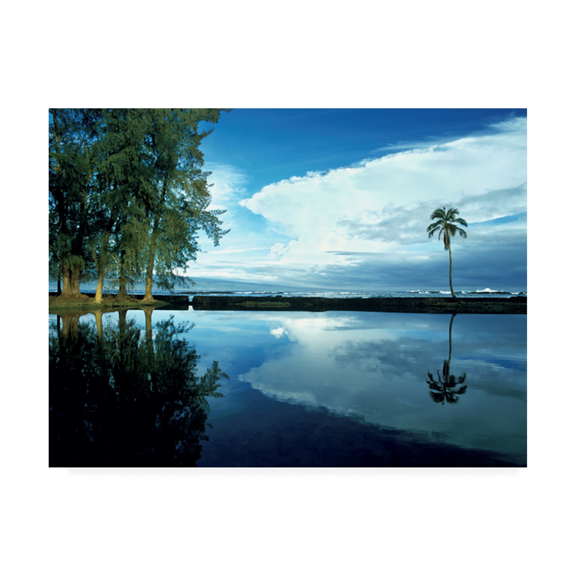 Trademark Fine Art 'Palm Tree Alone Big Island Hawaii' Canvas Art by Monte Nagler
