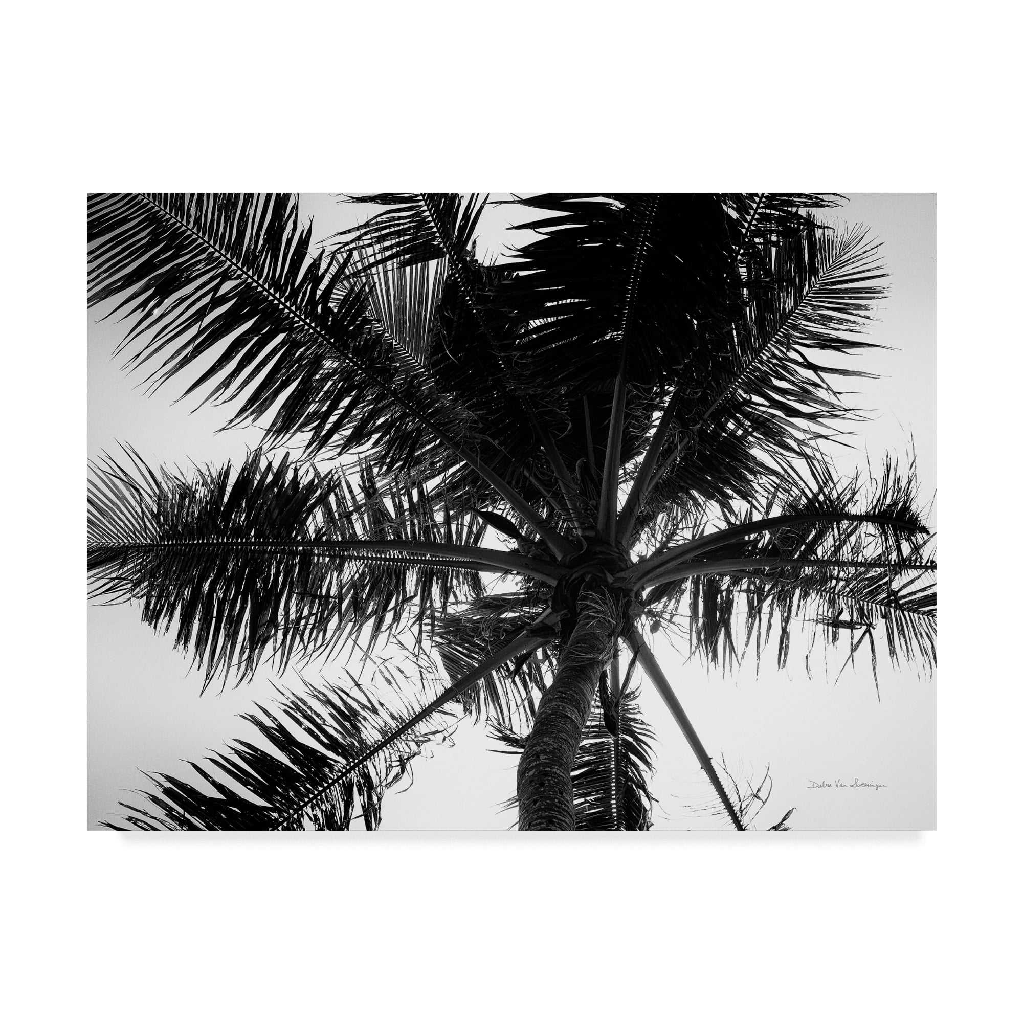 Black and White Palm Tree Landscape Canvas Print, 24 x 18