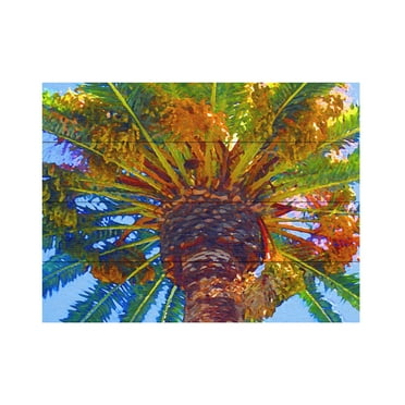 Trademark Fine Art 'Palm Tree Looking Up' Wooden Wall Art Art by Amy Vangsgard