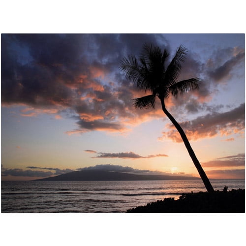 Palm Tree Maui Giclee Canvas Art in Natural Wood Frame