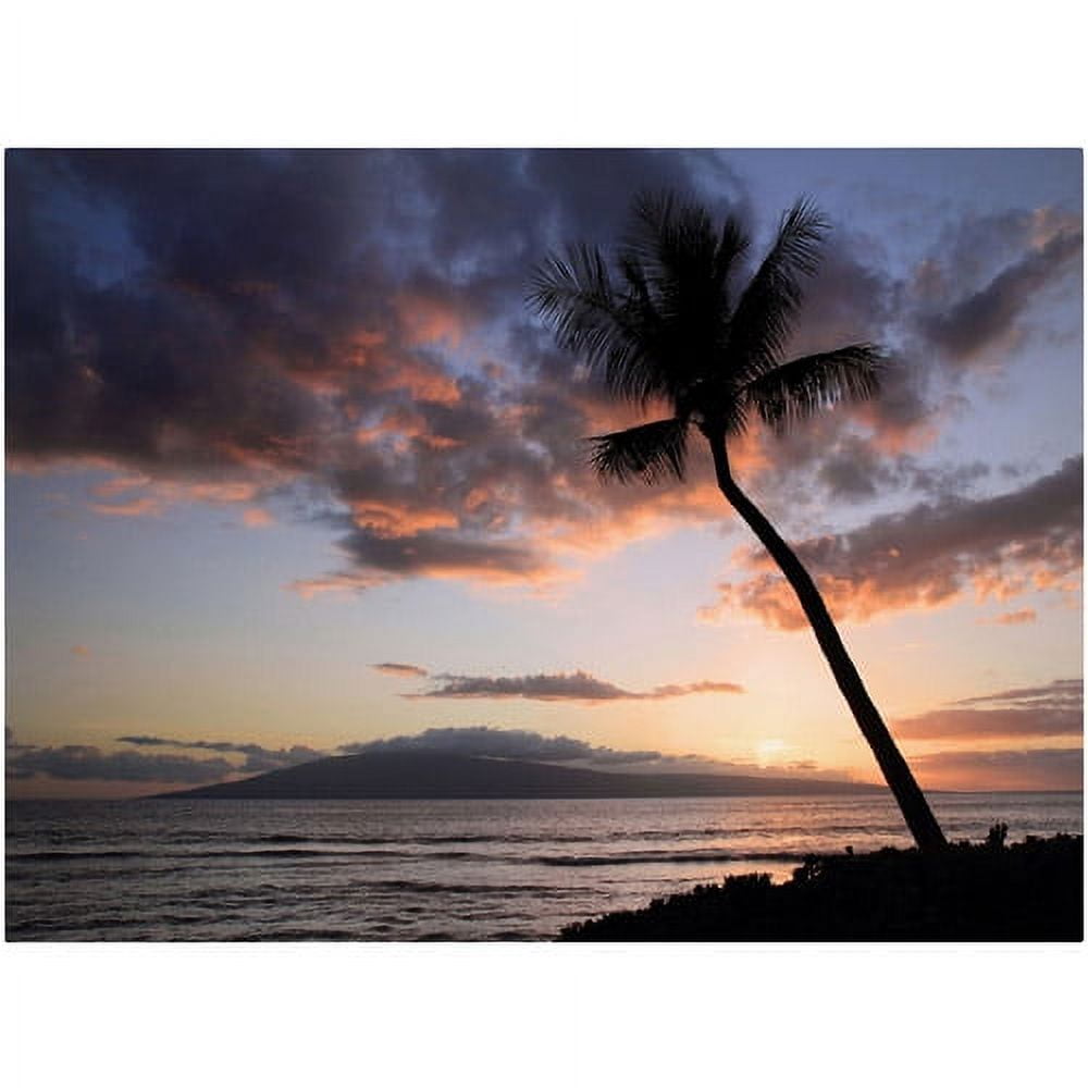 Palm Tree Maui Giclee Canvas Art in Natural Wood Frame