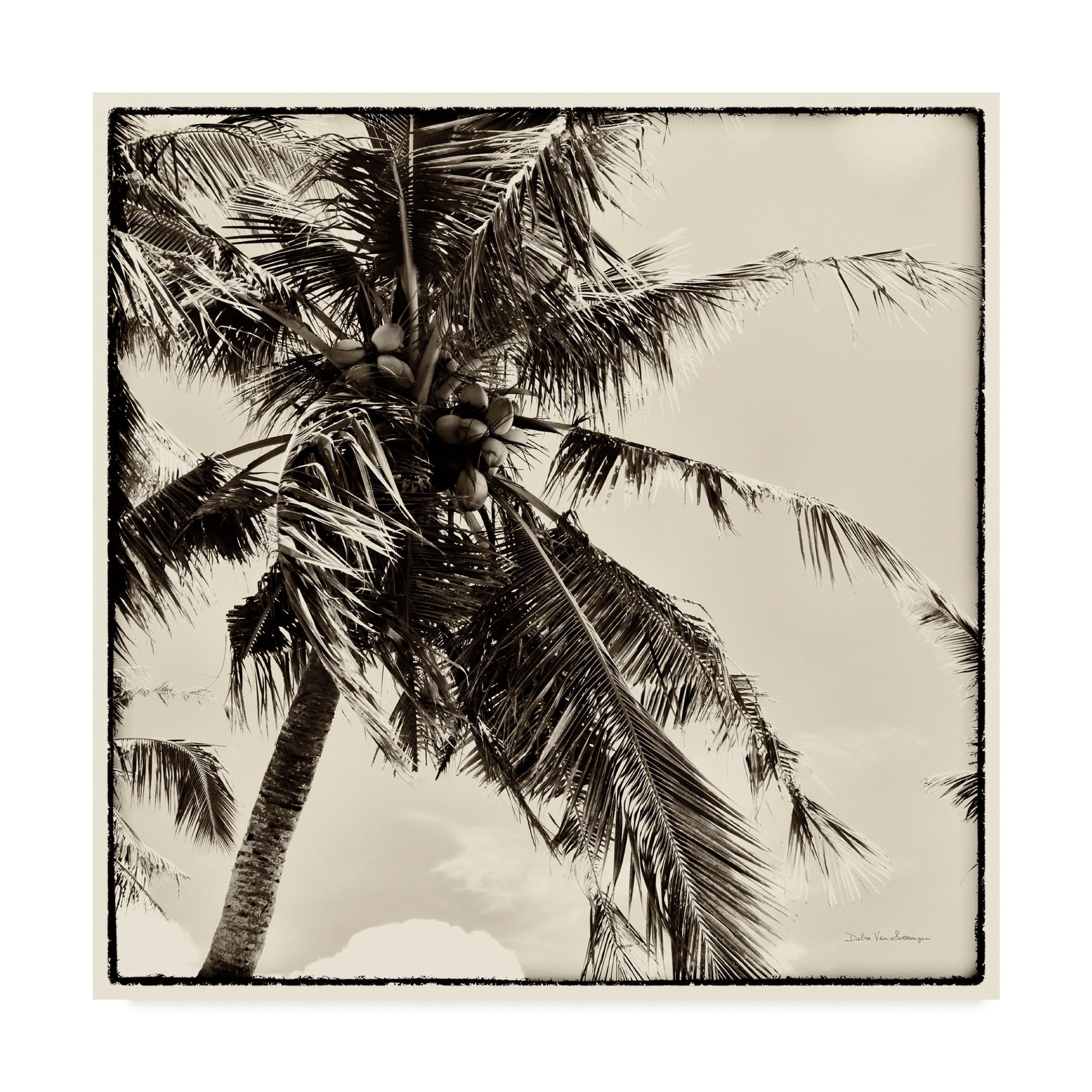 Sepia Palm Tree Landscape Framed Canvas Print, 18 x 18
