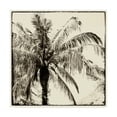 thumbnail image 1 of Trademark Fine Art 'Palm Tree Sepia III' Canvas Art by Debra Van Swearingen, 1 of 3