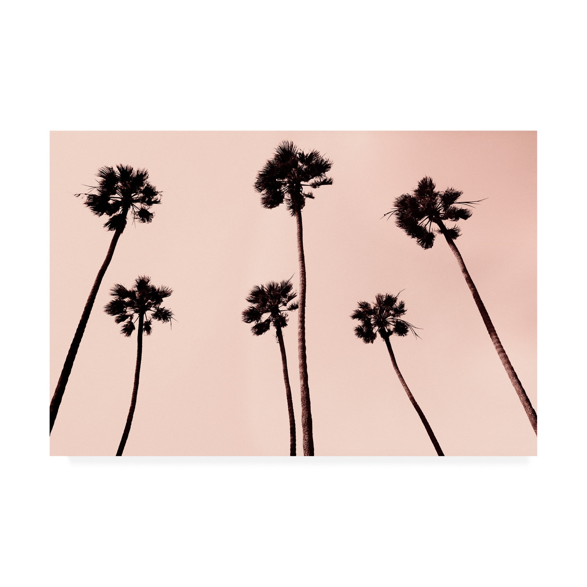 Trademark Fine Art 'Palm Trees 1997 Copper' Canvas Art by Erik Asl