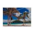 thumbnail image 1 of Trademark Fine Art 'Palm Trees Landscape' Canvas Art by Jason Matias, 1 of 3