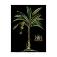 thumbnail image 1 of Trademark Fine Art 'Palm and Crest on Black I' Canvas Art by Vision Studio, 1 of 4