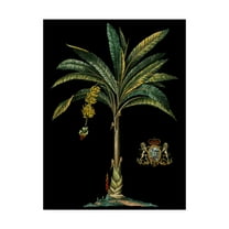 Trademark Fine Art 'Palm and Crest on Black I' Canvas Art by Vision Studio