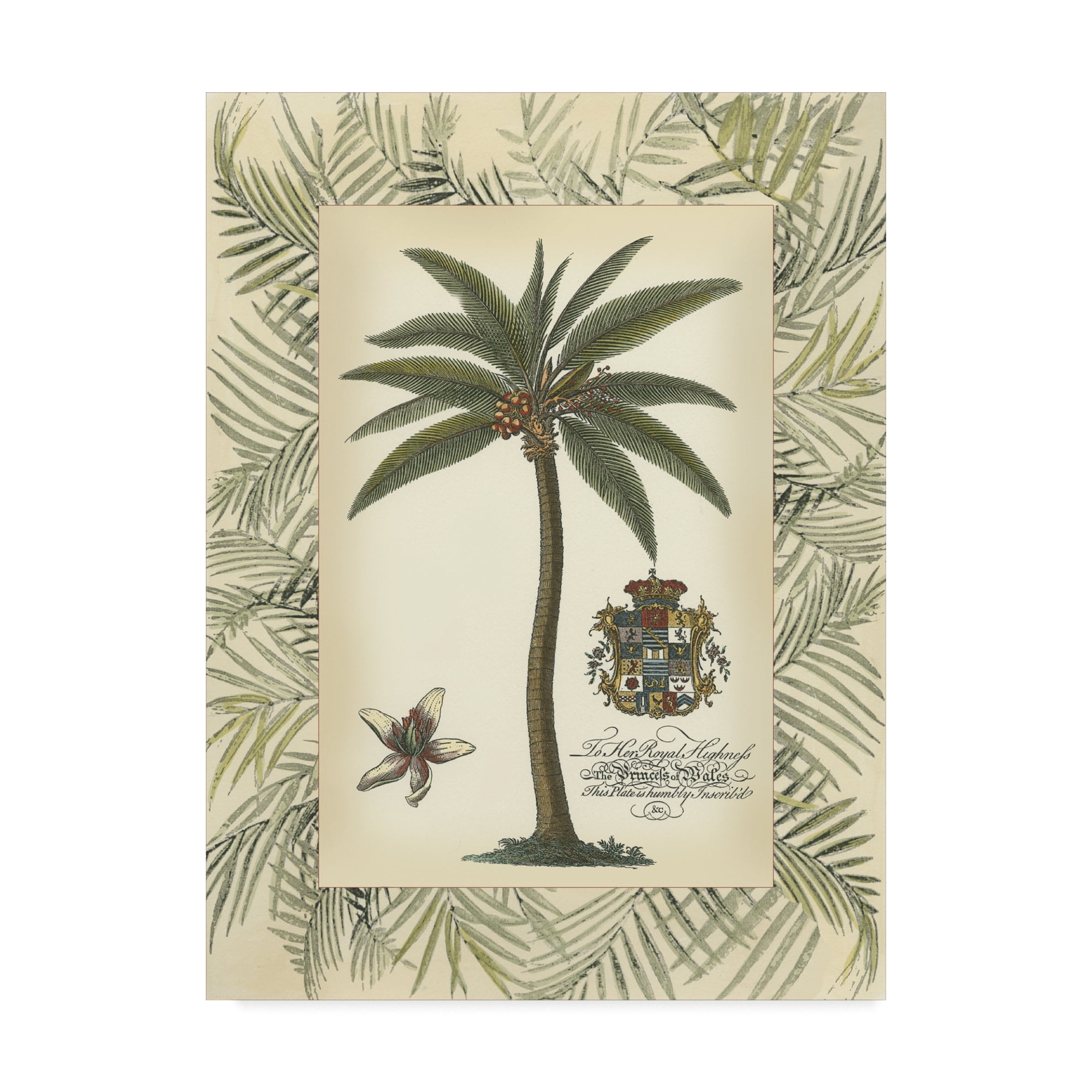 Trademark Fine Art 'Palm in Bamboo Frame I' Canvas Art by Vision Studio