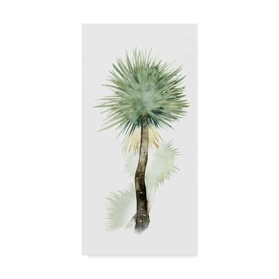 Trademark Fine Art 'Palm in Watercolor II' Canvas Art by Grace Popp