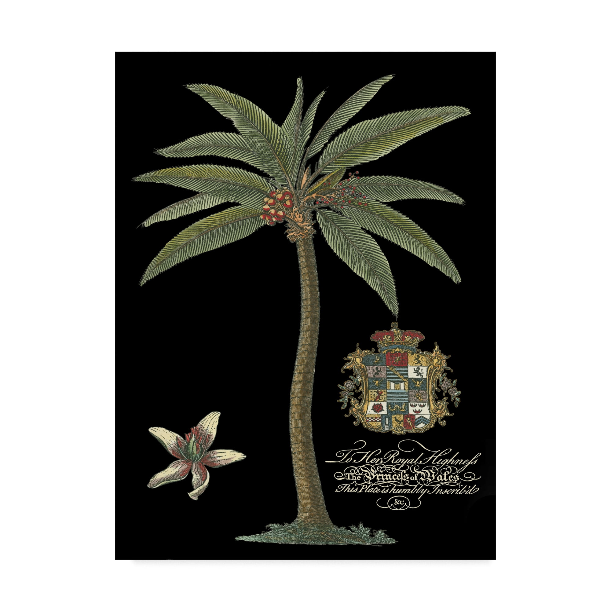 Trademark Fine Art 'Palm on Black I' Canvas Art by Unknown