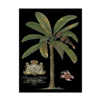 Trademark Fine Art 'Palm on Black II' Canvas Art by Unknown