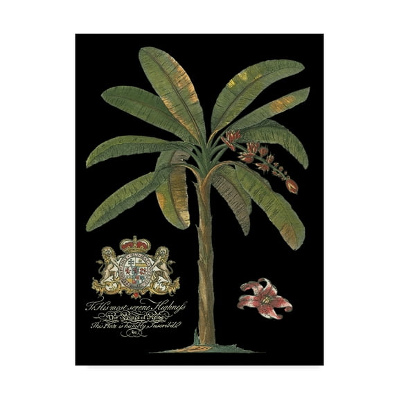 Trademark Fine Art 'Palm on Black II' Canvas Art by Unknown