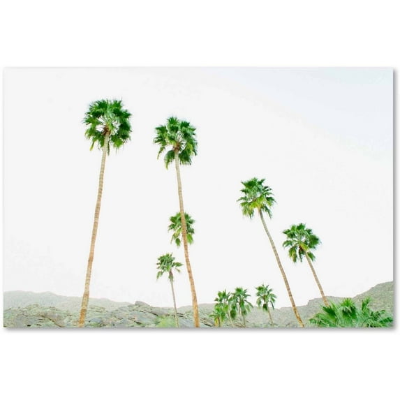 Trademark Fine Art 'Palms 3' Canvas Art by Ariane Moshayedi