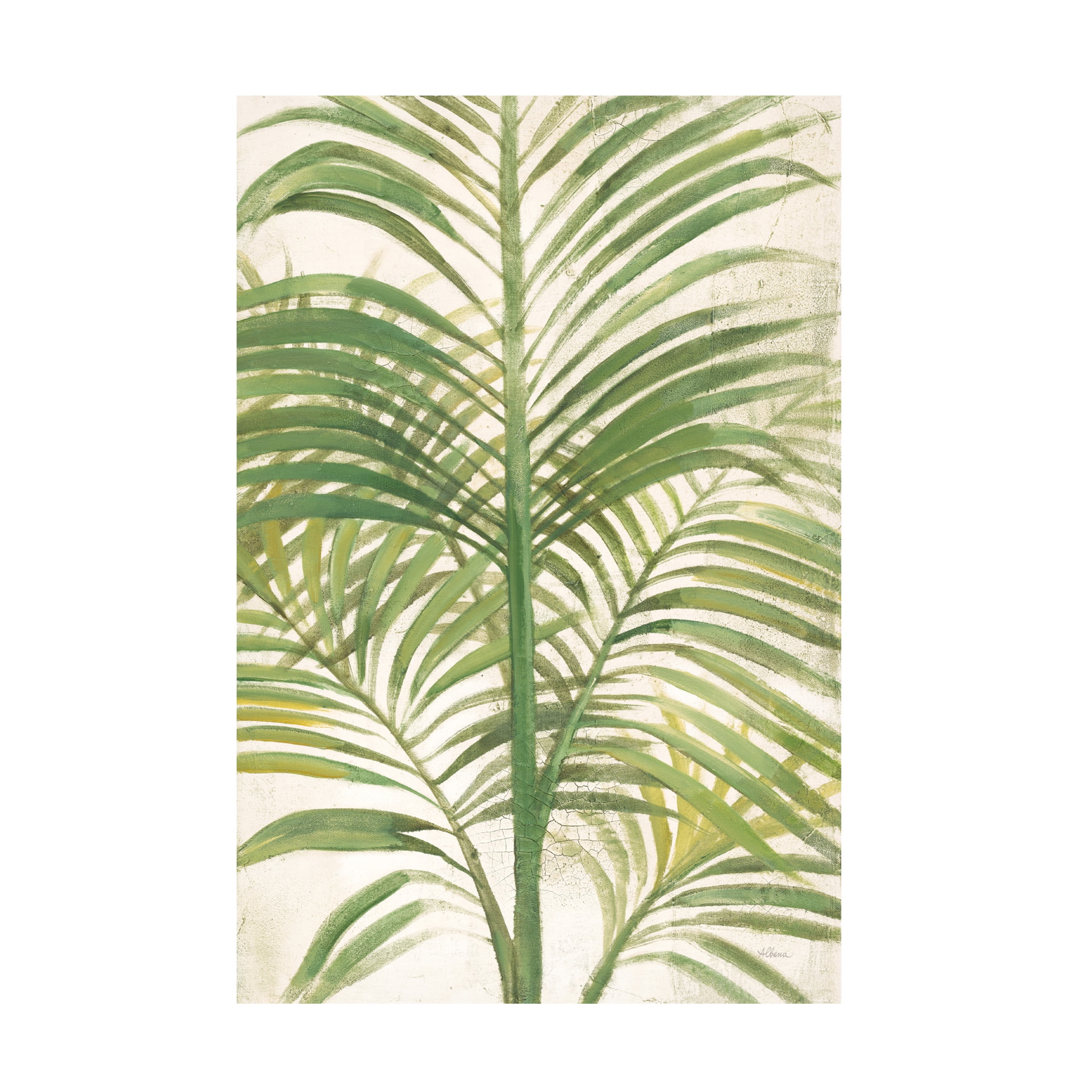 Trademark Fine Art 'Palms II Bright' Canvas Art by Albena Hristova