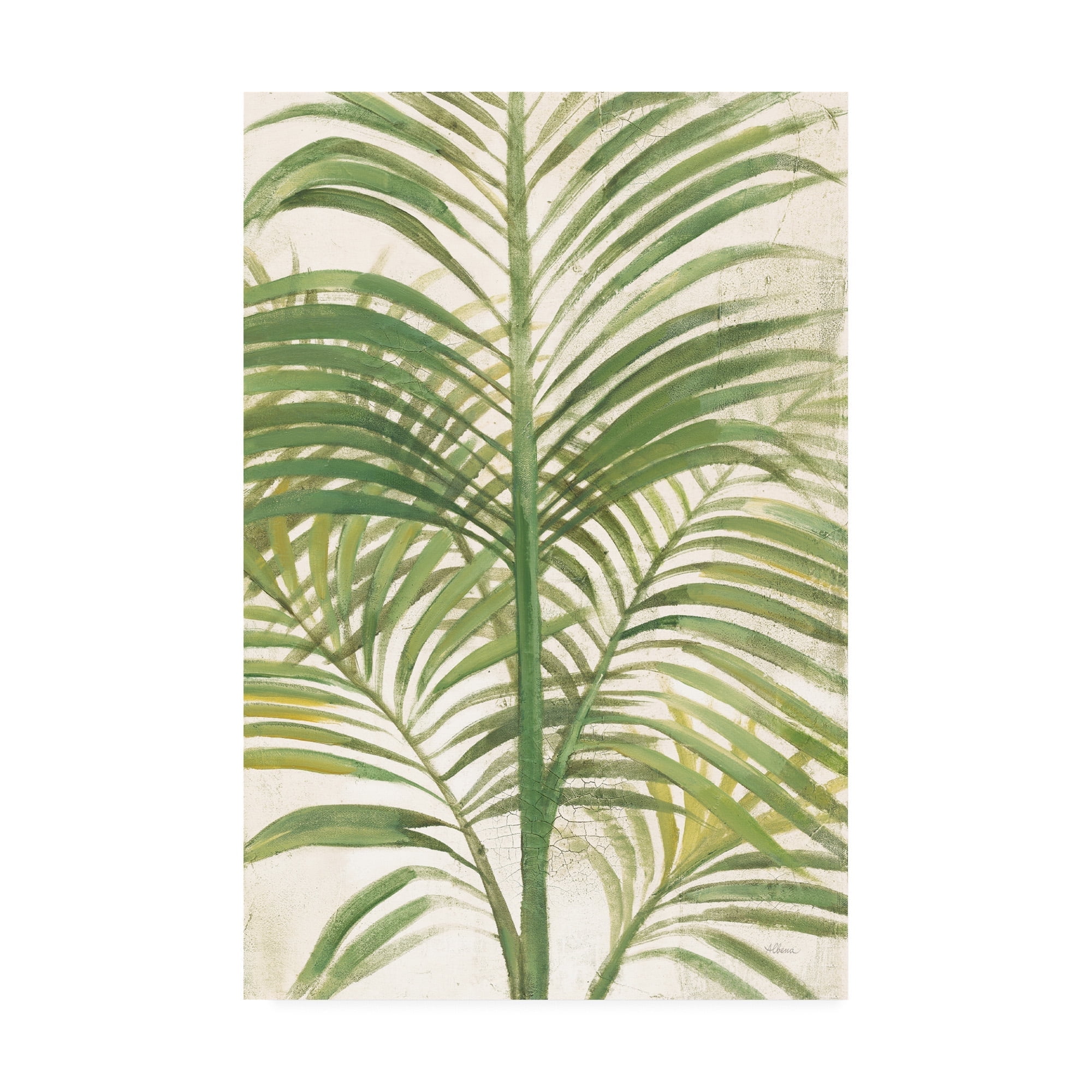 Trademark Fine Art 'Palms II Bright' Canvas Art by Albena Hristova