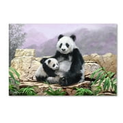 Trademark Fine Art 'Panda II' Canvas Art by The Macneil Studio