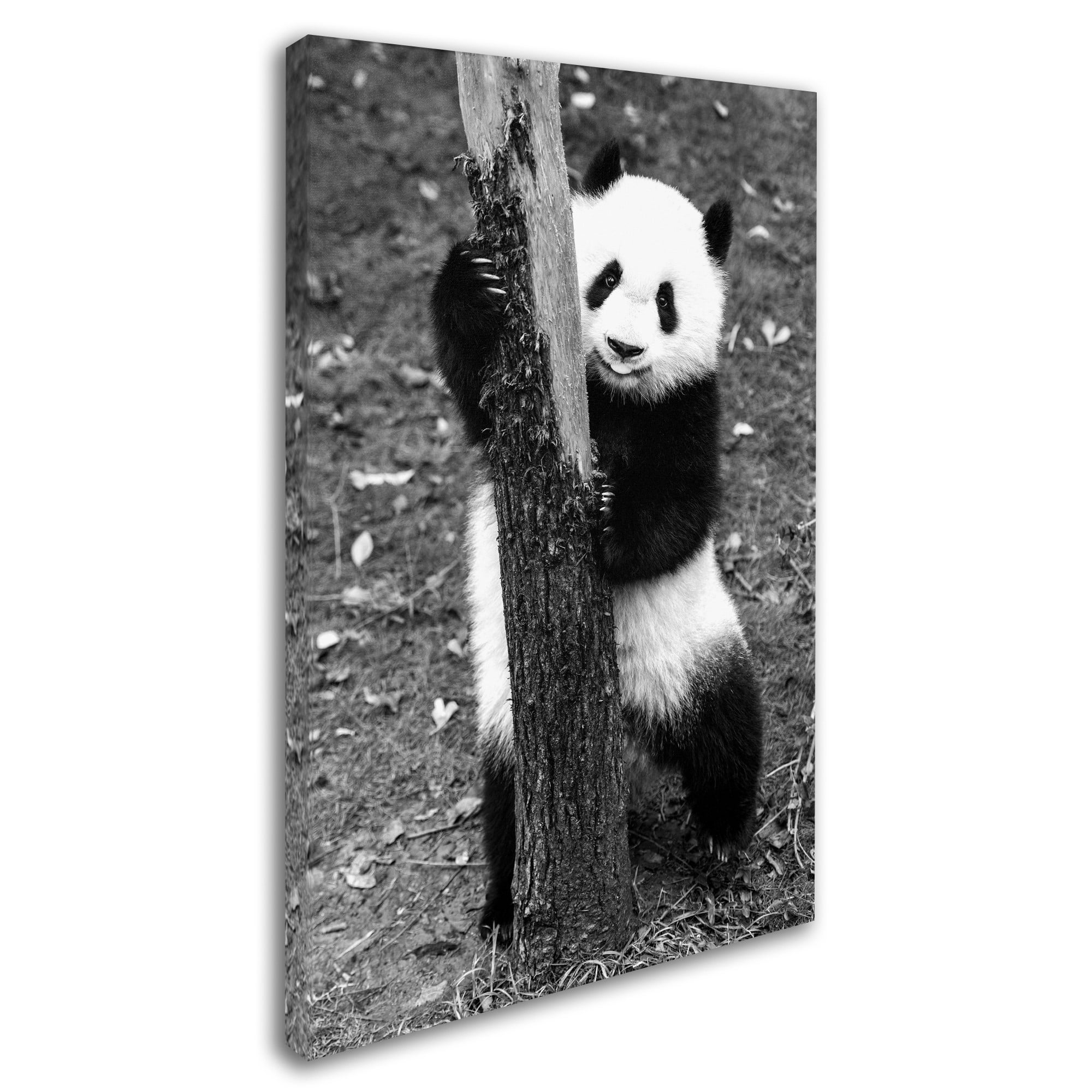 Trademark Fine Art 'Panda III' Canvas Art by Philippe Hugonnard