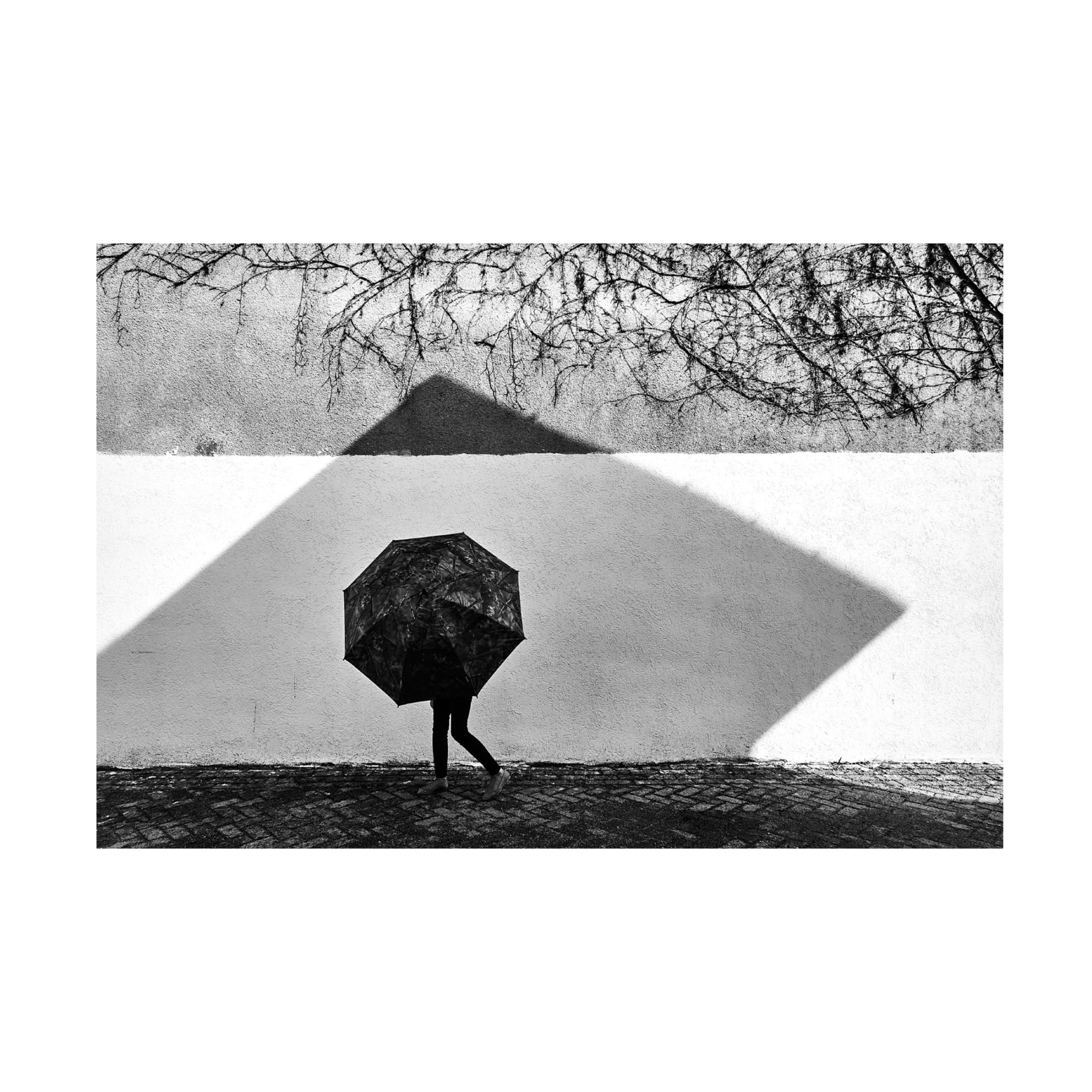 Trademark Fine Art Panfil Pirvulescu Shadow Geometry Canvas Wall Art