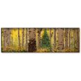 thumbnail image 1 of Trademark Fine Art "PanorAspen Lone Pine" Canvas Art by Roderick Stevens, 1 of 1