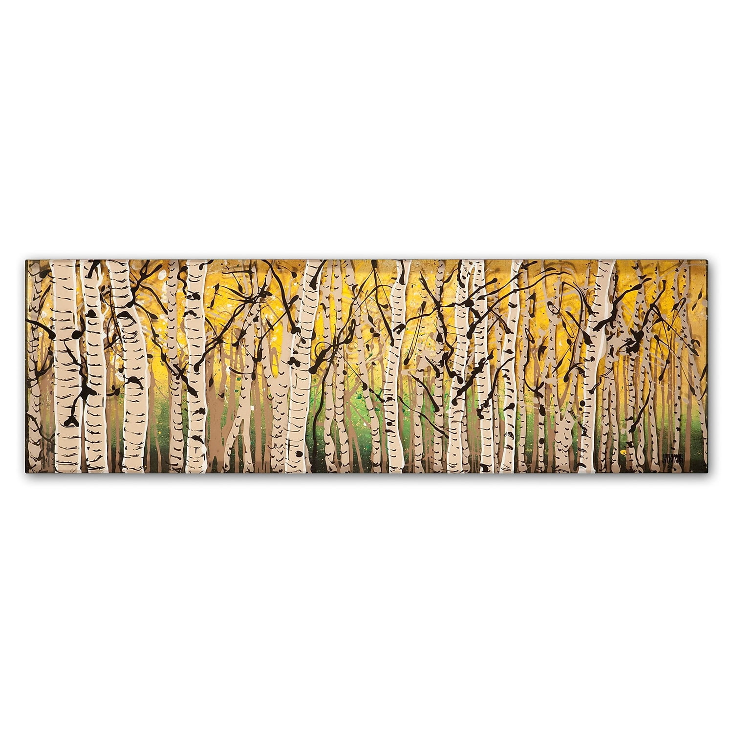Trademark Fine Art "PanorAspens Fall Begins" Canvas Art by Roderick Stevens