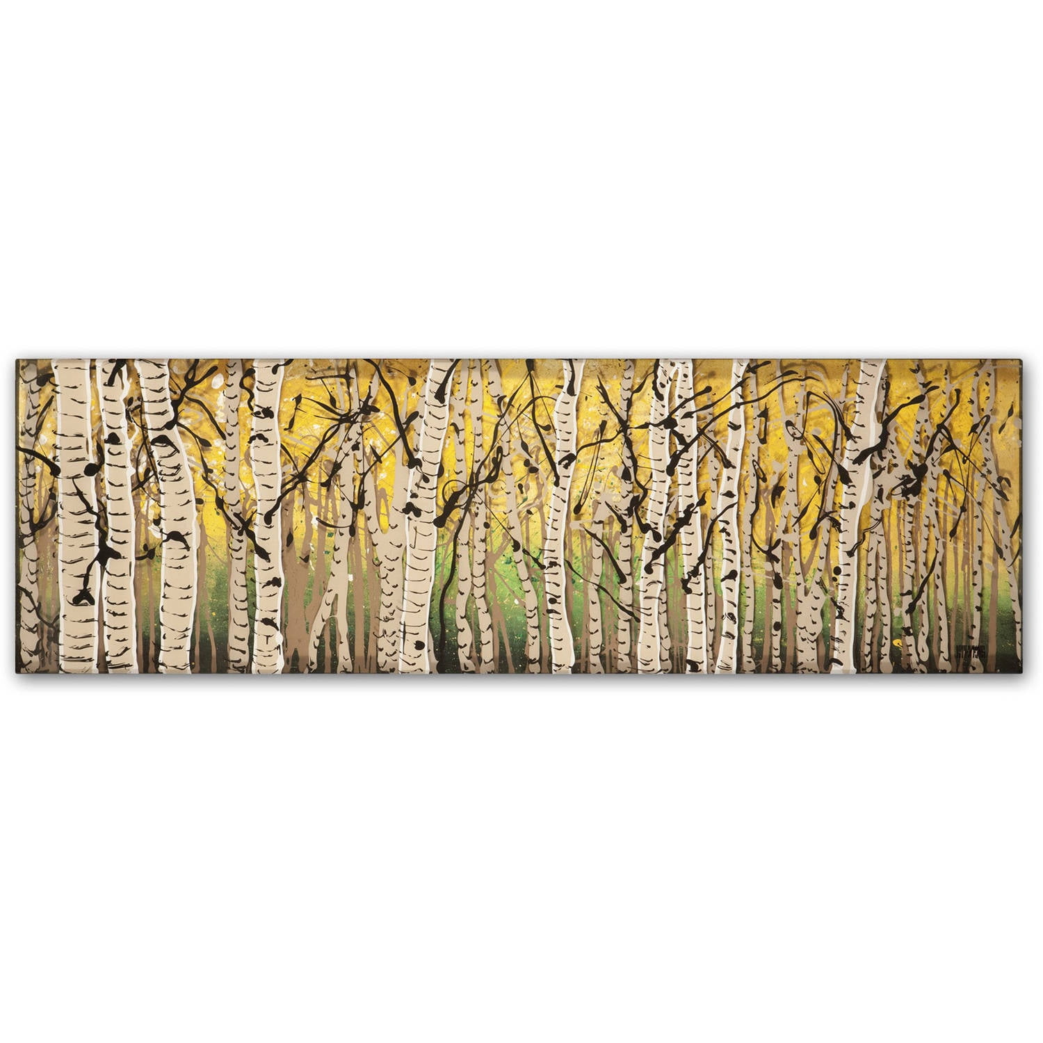 Trademark Fine Art "PanorAspens Fall Begins" Canvas Art by Roderick Stevens