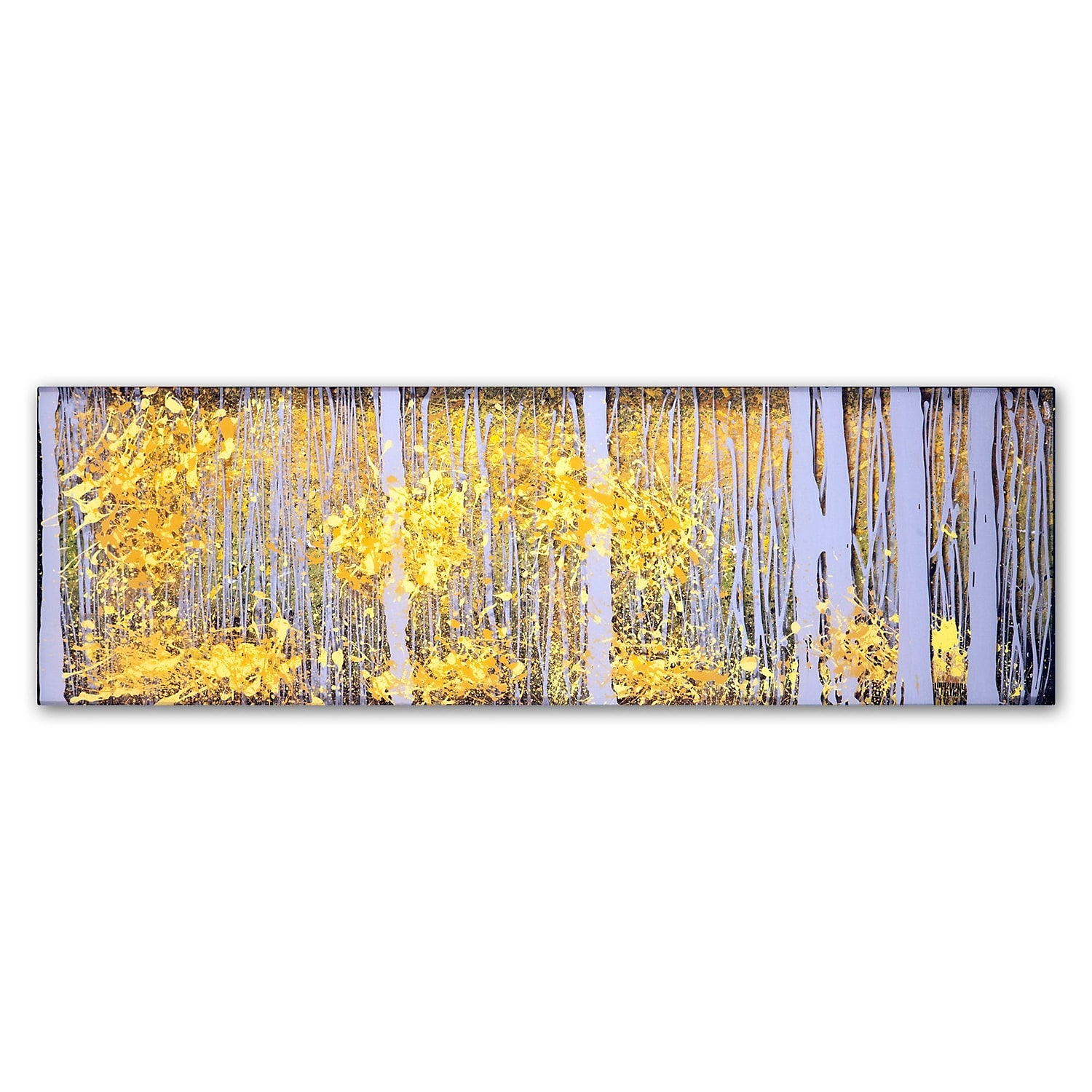Trademark Fine Art "PanorAspens Grey Forest" Canvas Art by Roderick Stevens