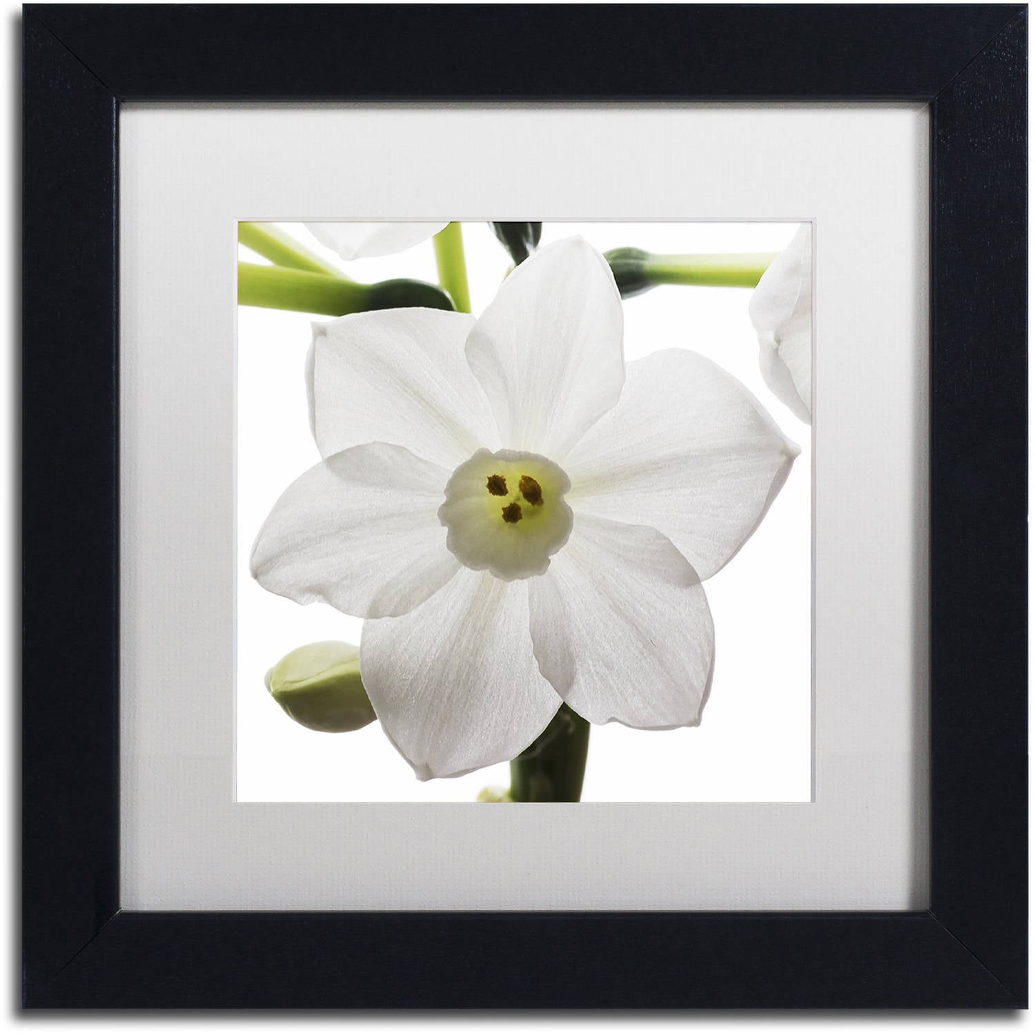 Trademark Fine Art "Paper White 2" Canvas Art by Kurt Shaffer White Mat, Black Frame