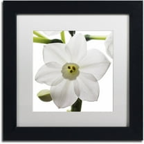 Trademark Fine Art "Paper White 2" Canvas Art by Kurt Shaffer White Mat, Black Frame