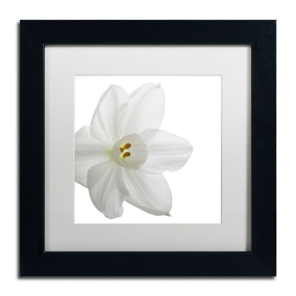 Trademark Fine Art "Paper White" Canvas Art by Kurt Shaffer White Mat, Black Frame