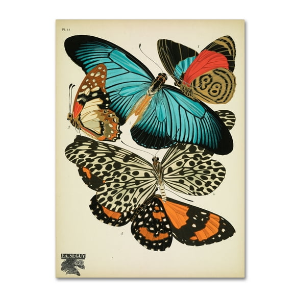 Trademark Fine Art 'Papillons 11' Canvas Art by Vintage Apple Collection