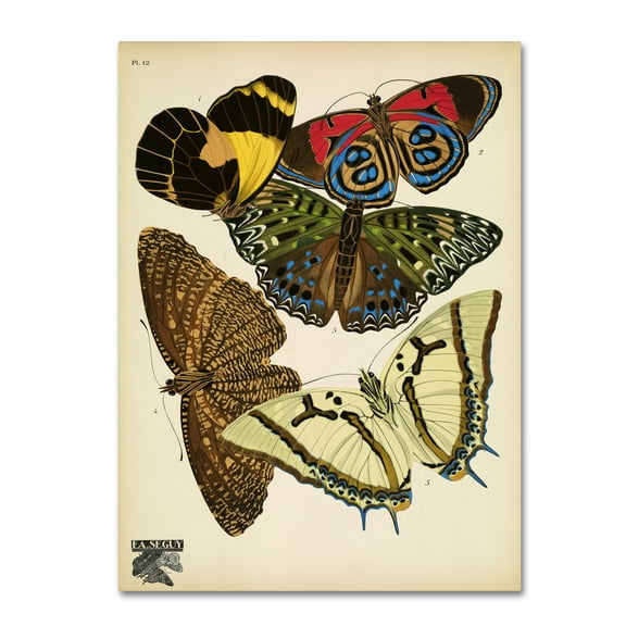 Trademark Fine Art 'Papillons 12' Canvas Art by Vintage Apple Collection