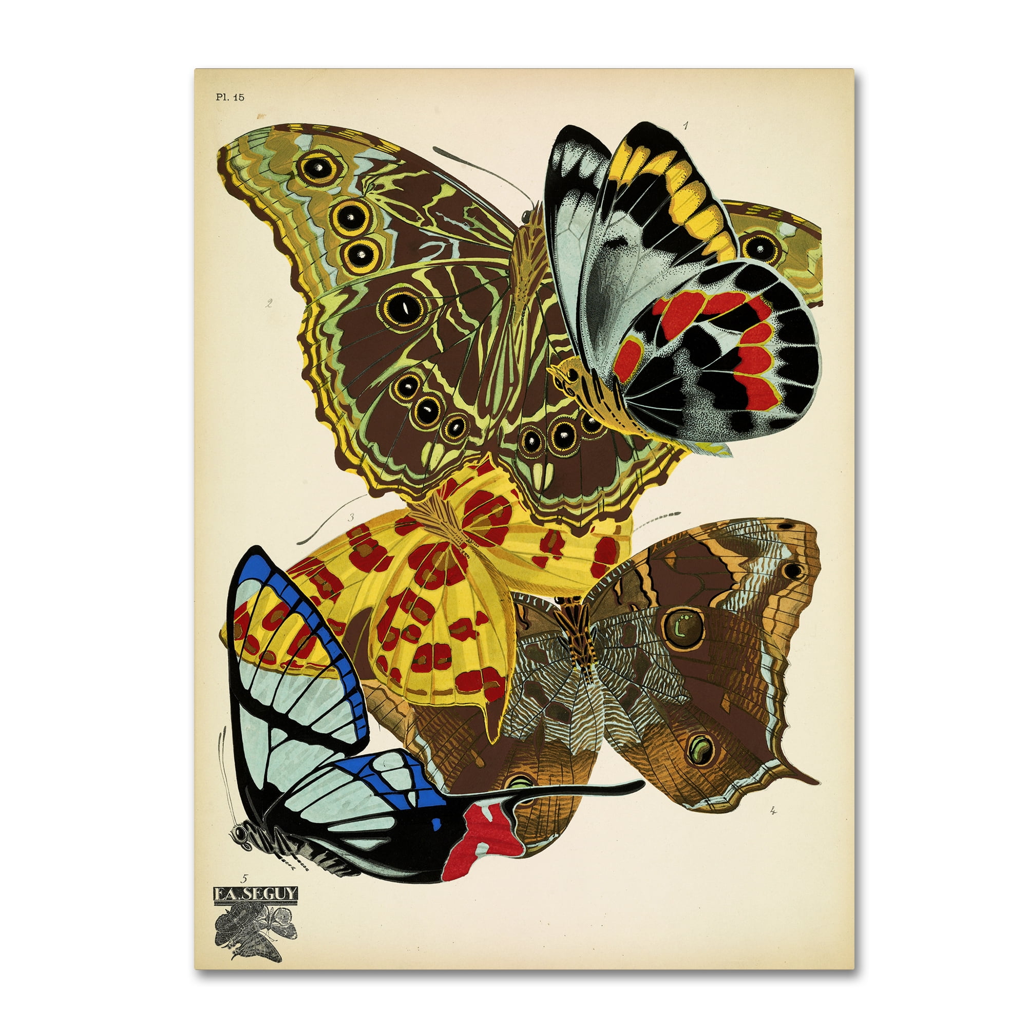 Trademark Fine Art 'Papillons 15' Canvas Art by Vintage Apple Collection