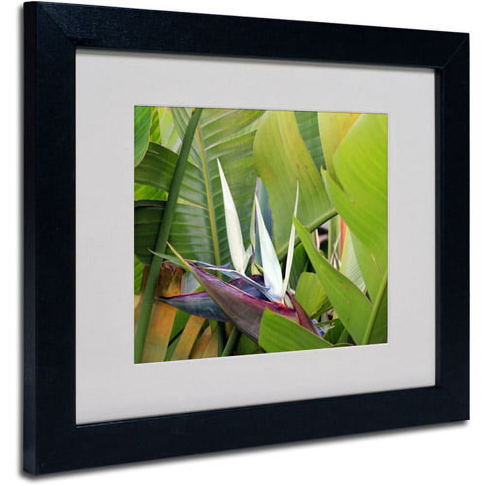 Trademark Fine Art "Paradise 2" Matted Framed Art by Patty Tuggle, Black Frame