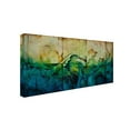 thumbnail image 1 of Trademark Fine Art "Paradise" Canvas Art by CH Studios, 1 of 5