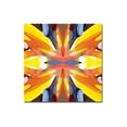thumbnail image 1 of Trademark Global Amy Vangsgard "Paradise" Canvas Art 18" x 18" (AV0015-C1818GG), 1 of 2
