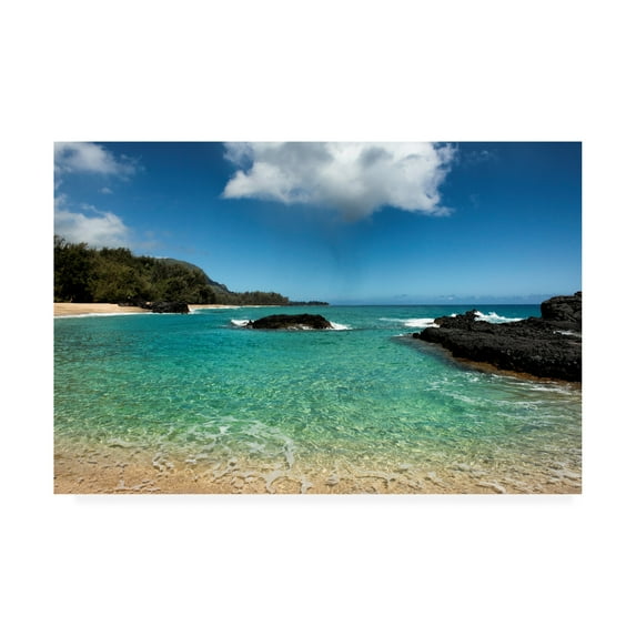 Trademark Fine Art 'Paradise Coastline' Canvas Art by Danny Head