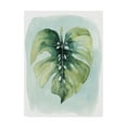 thumbnail image 1 of Trademark Fine Art 'Paradise Palm Leaves I' Canvas Art by Grace Popp, 1 of 4