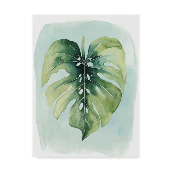 Trademark Fine Art 'Paradise Palm Leaves I' Canvas Art by Grace Popp
