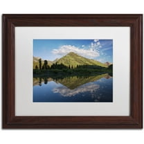 Trademark Fine Art 'Paradise Pond I' Canvas Art by Michael Blanchette Photography, White Matte, Wood Frame