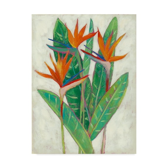 Trademark Fine Art 'Paradise Vacation II' Canvas Art by Chariklia Zarris