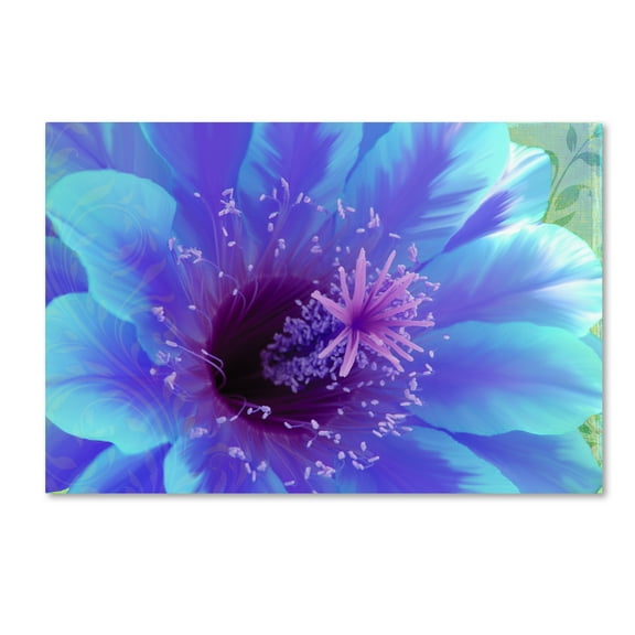 Trademark Fine Art 'Paradisum' Canvas Art by Tina Lavoie