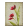 thumbnail image 1 of Trademark Fine Art 'Parchment Flowers III' Canvas Art by Judy Stalus, 1 of 4