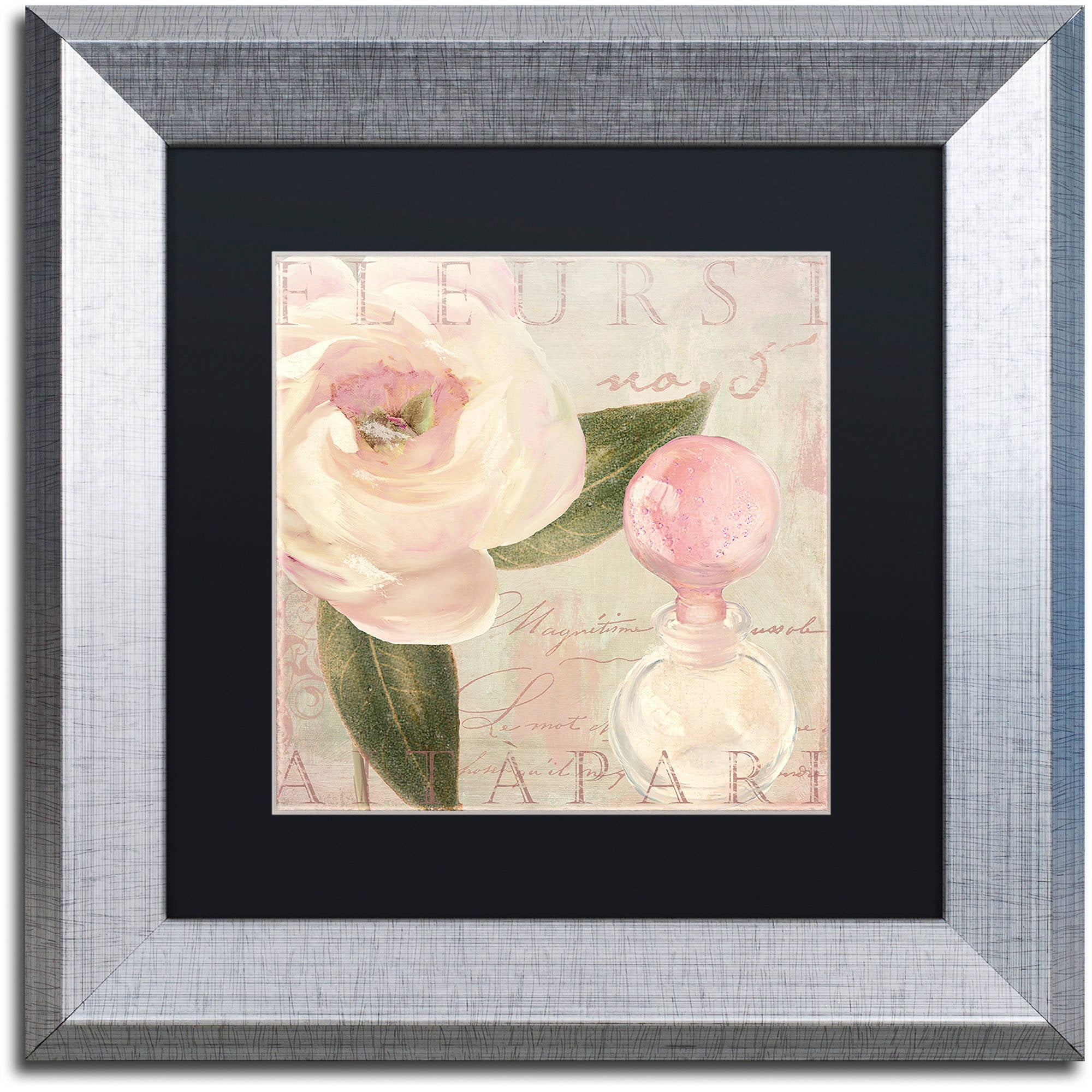 Trademark Fine Art "Parfum de Roses II" Canvas Art by Color Bakery Black Matte, Silver Frame