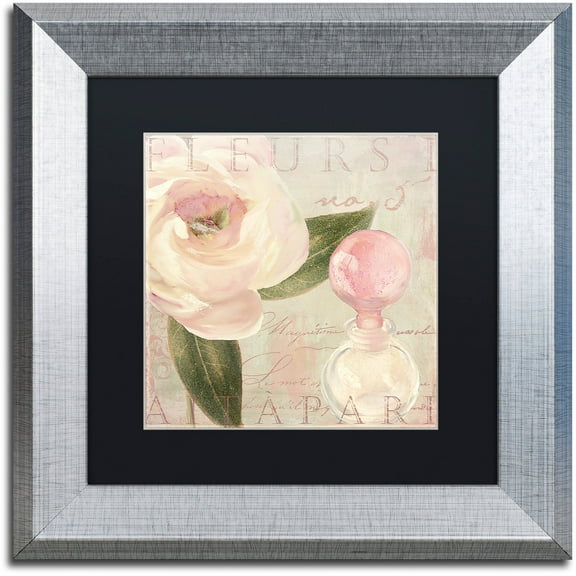 Trademark Fine Art "Parfum de Roses II" Canvas Art by Color Bakery Black Matte, Silver Frame
