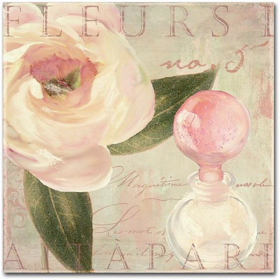 Trademark Fine Art "Parfum de Roses II" Canvas Art by Color Bakery